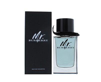 Burberry Mr. Burberry EDT 100ml